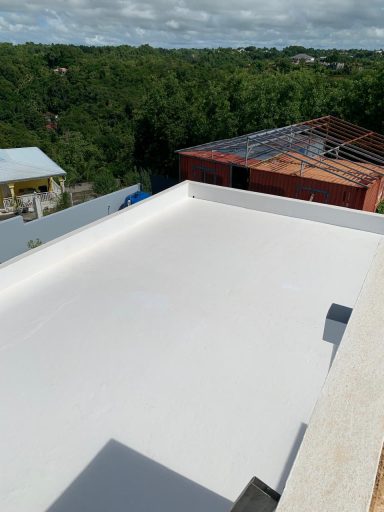 Triflex Pro Solar Guadeloupe